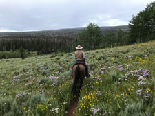 USA-Colorado-Routt National Forest Guest Ranch